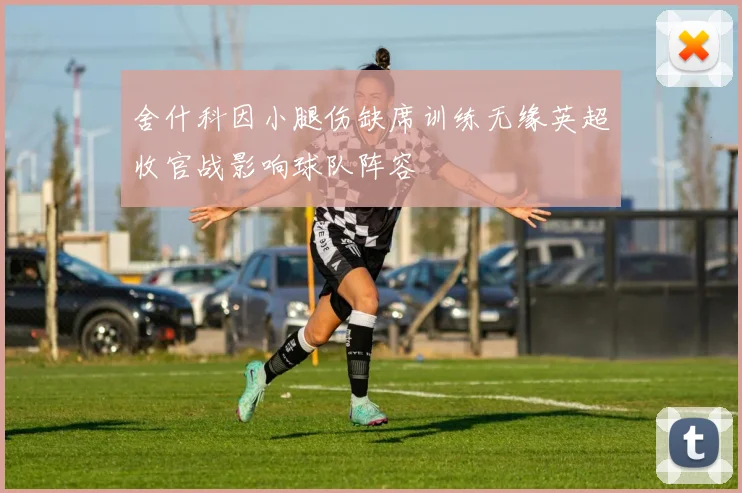 舍什科因小腿伤缺席训练无缘英超收官战影响球队阵容